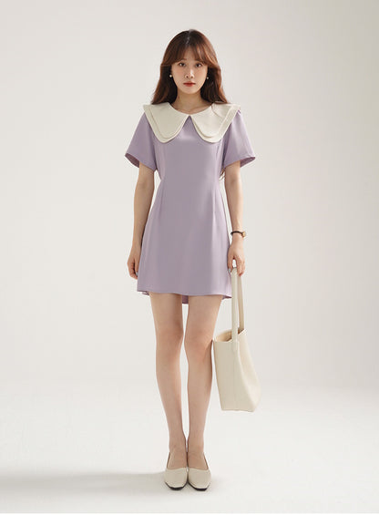 2024SS Big collar A-line mini dress ビッグカラー 襟付き Aライン ミニ ワンピース