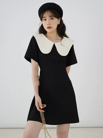 2024SS Big collar A-line mini dress ビッグカラー 襟付き Aライン ミニ ワンピース