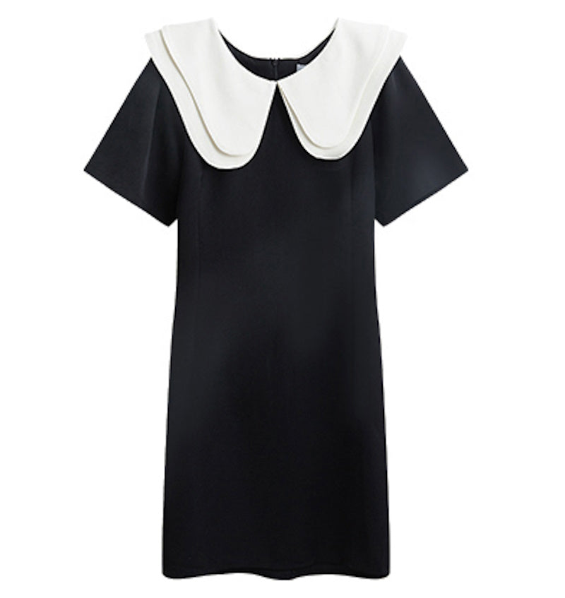 2024SS Big collar A-line mini dress ビッグカラー 襟付き Aライン ミニ ワンピース