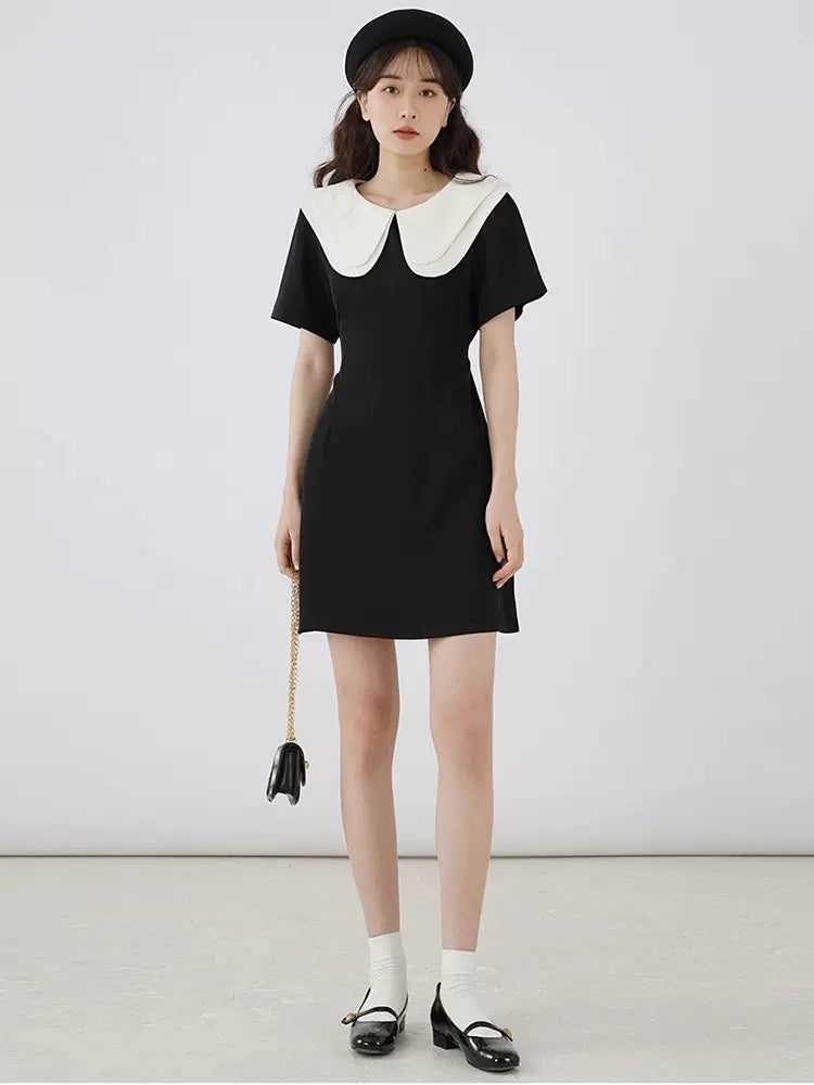 2024SS Big collar A-line mini dress ビッグカラー 襟付き Aライン ミニ ワンピース